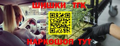 СК Канаш