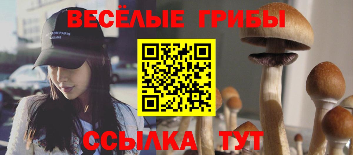 Стерлитамак  Галлюциногенные грибы Psilocybe  Псилоцибиновые грибы ЛСД  Вход с VPN 